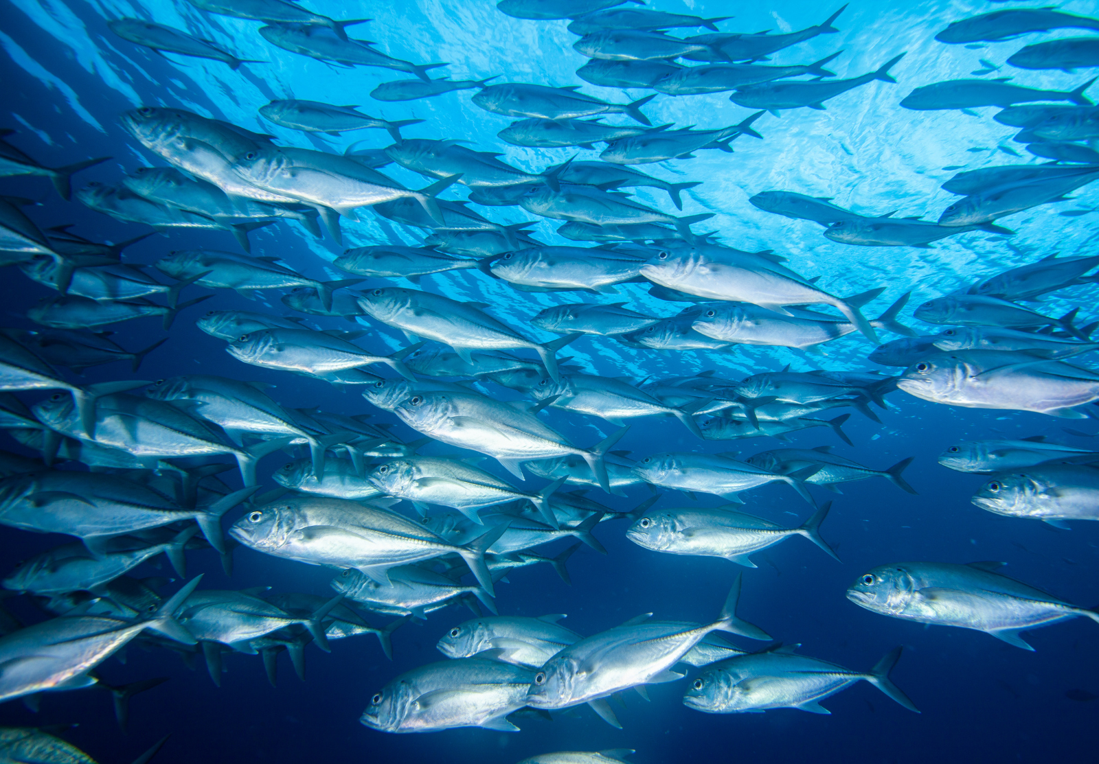 しっかり稼げる環境